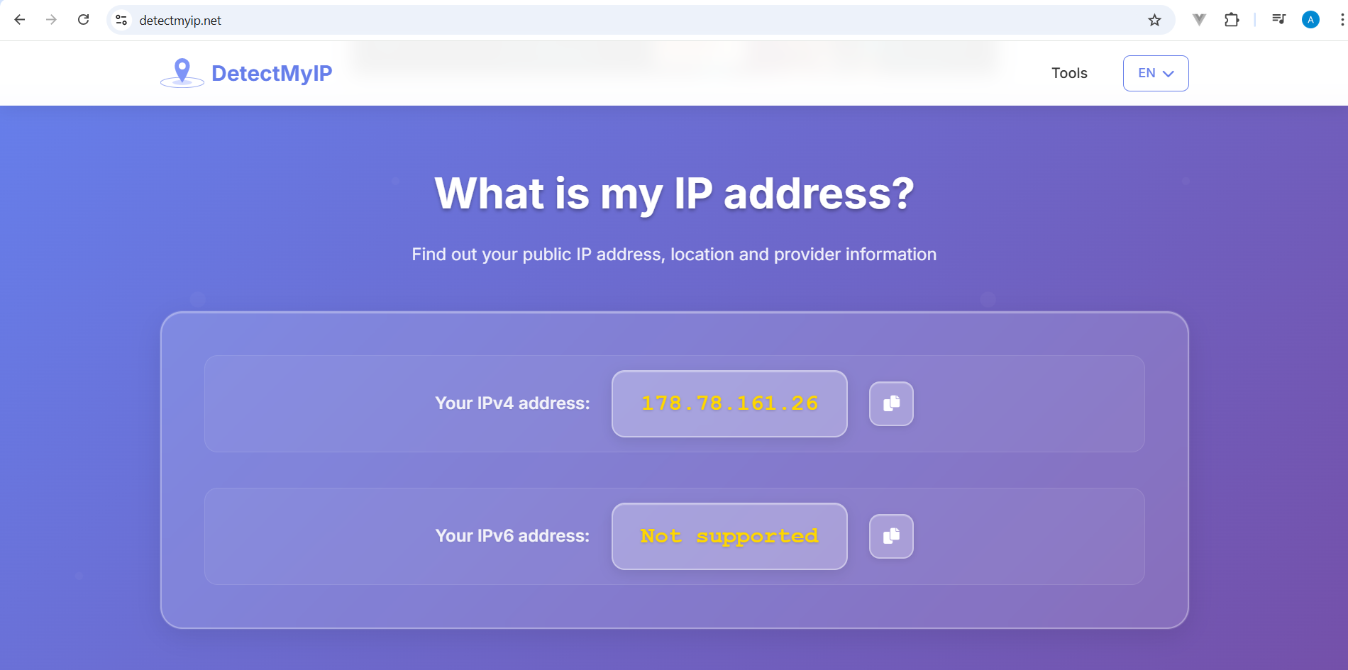 DetectMyIP